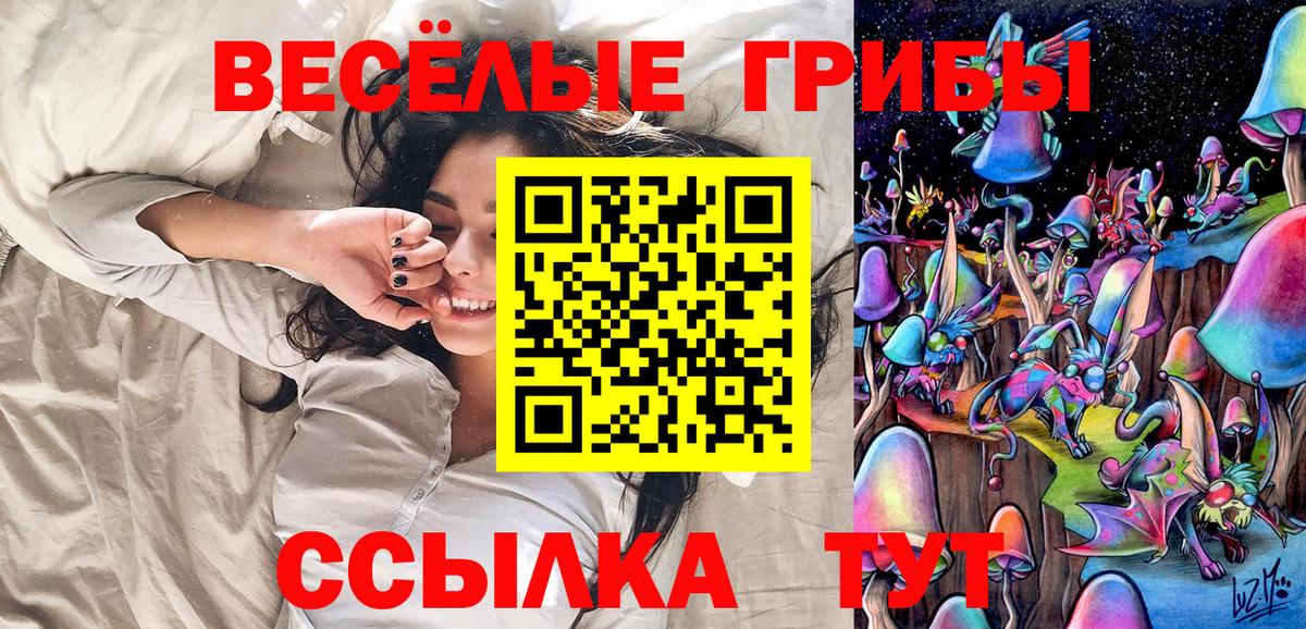 Галлюциногенные грибы Psilocybine cubensis Торжок